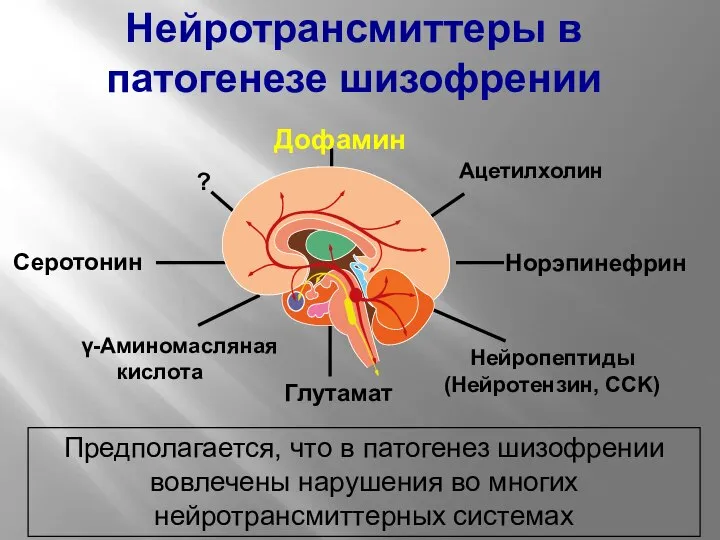 Предполагается, что в патогенез шизофрении вовлечены нарушения во многих нейротрансмиттерных системах Глутамат