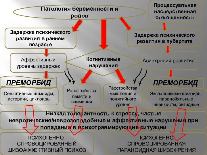 Патология беременности и родов Процессуальная наследственная отягощенность Задержка психического развития в пубертате