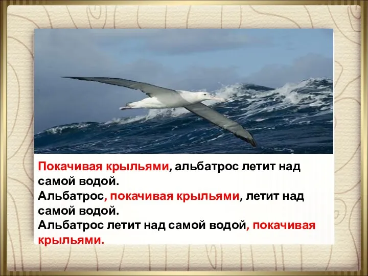 Покачивая крыльями, альбатрос летит над самой водой. Альбатрос, покачивая крыльями, летит над