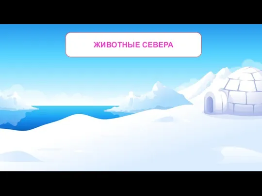 ЖИВОТНЫЕ СЕВЕРА