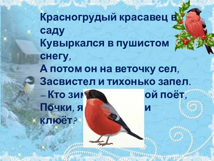 Красногрудый красавец в саду Кувыркался в пушистом снегу, А потом он на