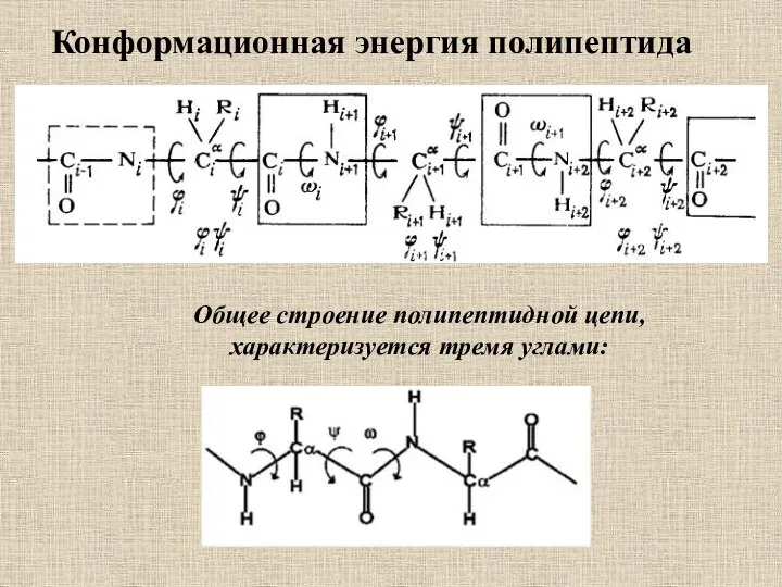 Конформационная энергия полипептида Общее строение полипептидной цепи, характеризуется тремя углами: