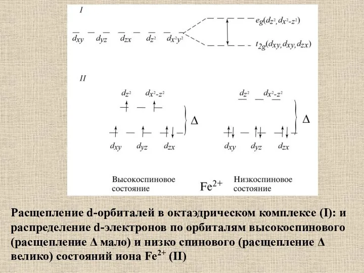 Расщепление d-орбиталей в октаэдрическом комплексе (I): и распределение d-электронов по орбиталям высокоспинового