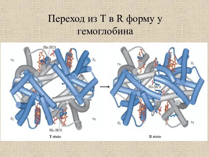 Переход из T в R форму у гемоглобина