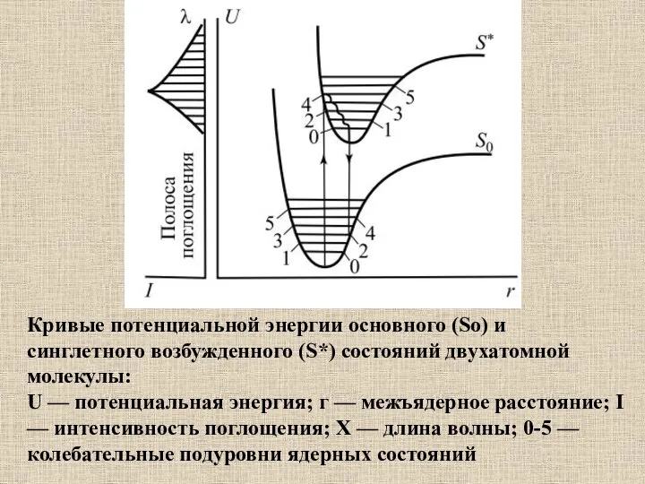 Кривые потенциальной энергии основного (So) и синглетного возбужденного (S*) состояний двухатомной молекулы: