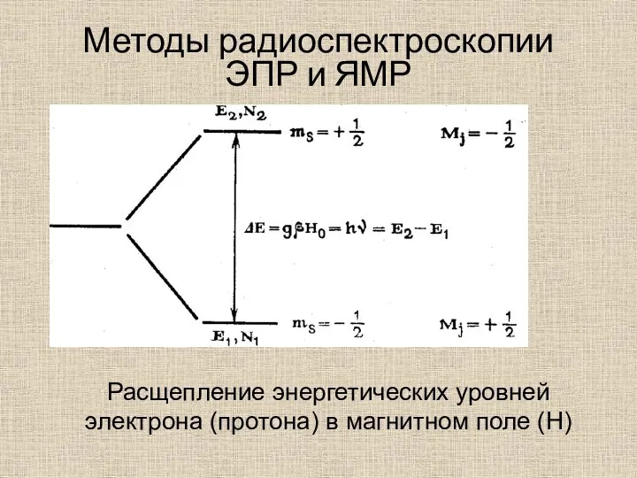 Методы радиоспектроскопии ЭПР и ЯМР Расщепление энергетических уровней электрона (протона) в магнитном поле (Н)