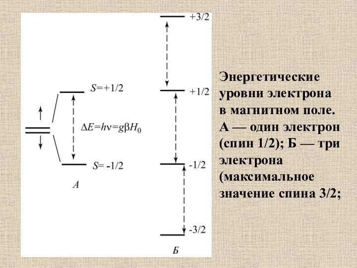 Энергетические уровни электрона в магнитном поле. А — один электрон (спин 1/2);