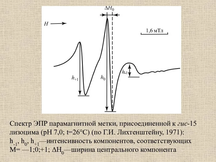 Спектр ЭПР парамагнитной метки, присоединенной к гис-15 лизоцима (рН 7,0; t=26°C) (по