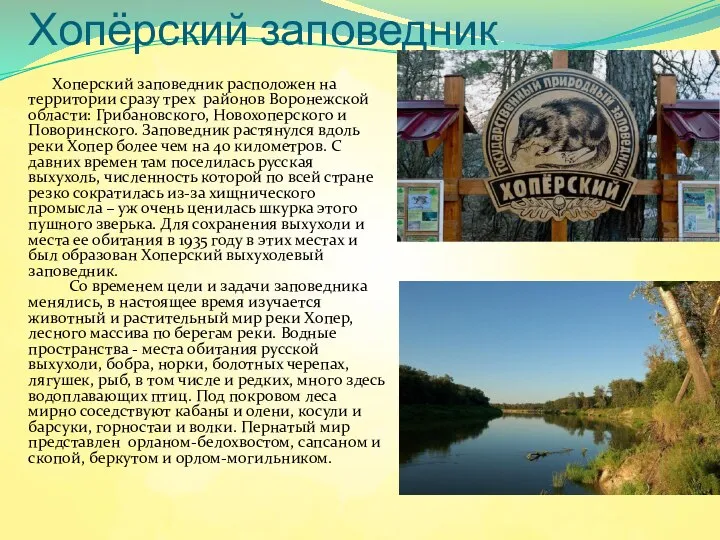 Хопёрский заповедник Хоперский заповедник расположен на территории сразу трех районов Воронежской области: