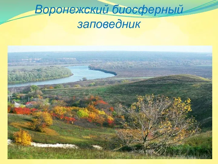 Воронежский биосферный заповедник
