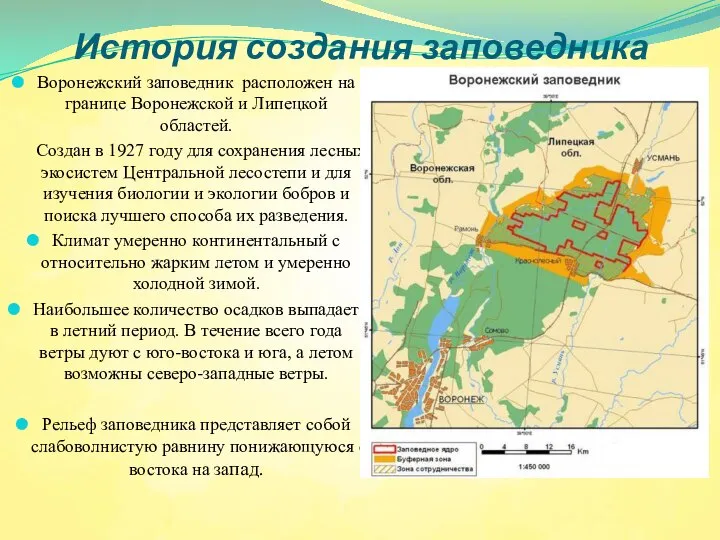 История создания заповедника Воронежский заповедник расположен на границе Воронежской и Липецкой областей.