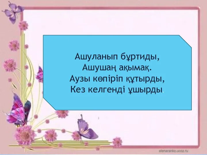 Ашуланып бұртиды, Ашушаң ақымақ. Аузы көпіріп құтырды, Кез келгенді ұшырды.