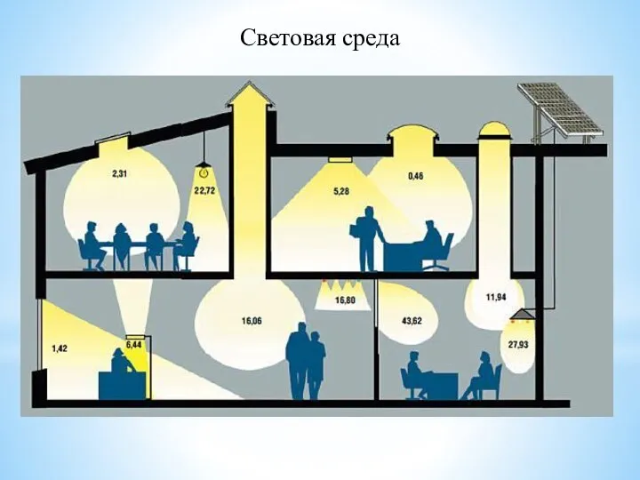 Световая среда