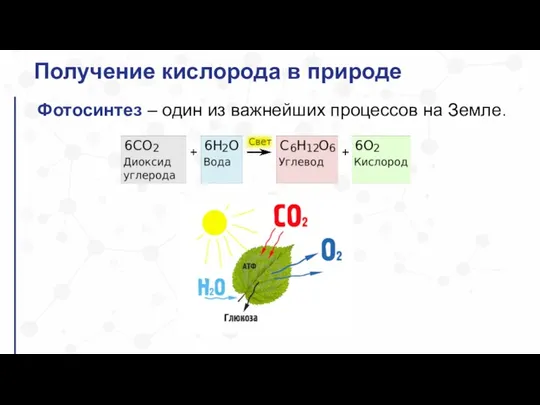 Получение кислорода в природе Фотосинтез – один из важнейших процессов на Земле.