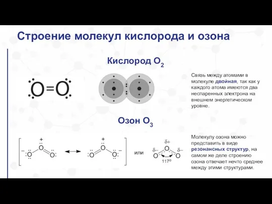 Строение молекул кислорода и озона Кислород O2 Озон О3 Молекулу озона можно