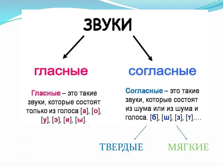 ТВЕРДЫЕ МЯГКИЕ