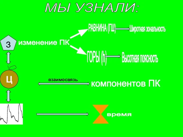 МЫ УЗНАЛИ: З