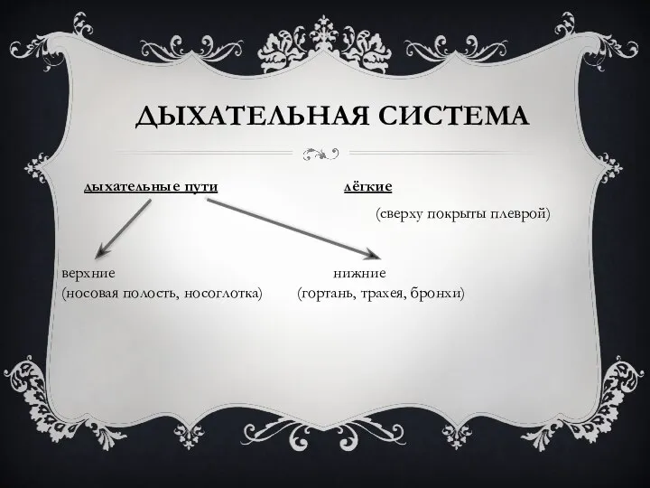 ДЫХАТЕЛЬНАЯ СИСТЕМА дыхательные пути лёгкие (сверху покрыты плеврой) верхние нижние (носовая полость, носоглотка) (гортань, трахея, бронхи)