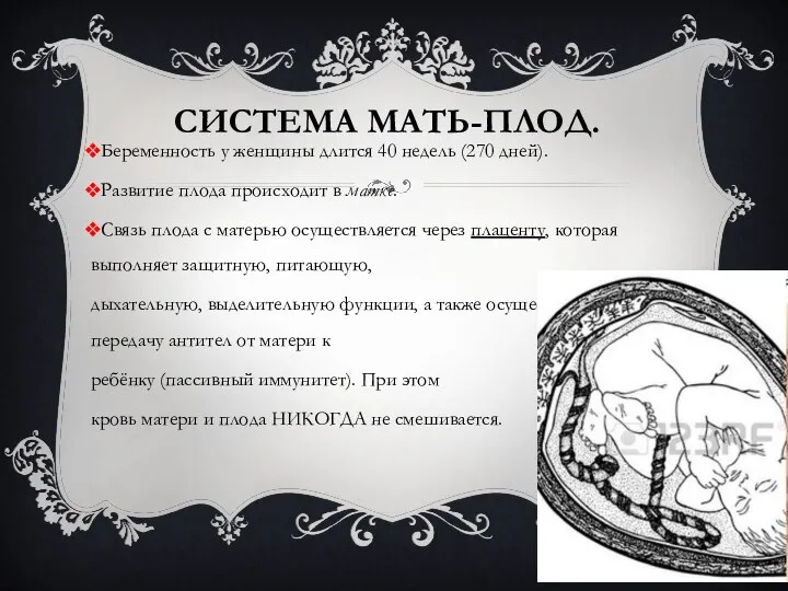 СИСТЕМА МАТЬ-ПЛОД. Беременность у женщины длится 40 недель (270 дней). Развитие плода