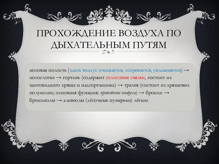 ПРОХОЖДЕНИЕ ВОЗДУХА ПО ДЫХАТЕЛЬНЫМ ПУТЯМ носовая полость (здесь воздух очищается, согревается, увлажняется)