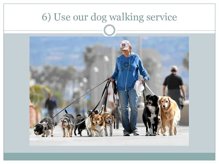 6) Use our dog walking service