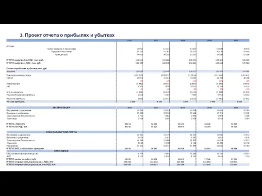3. Проект отчета о прибылях и убытках