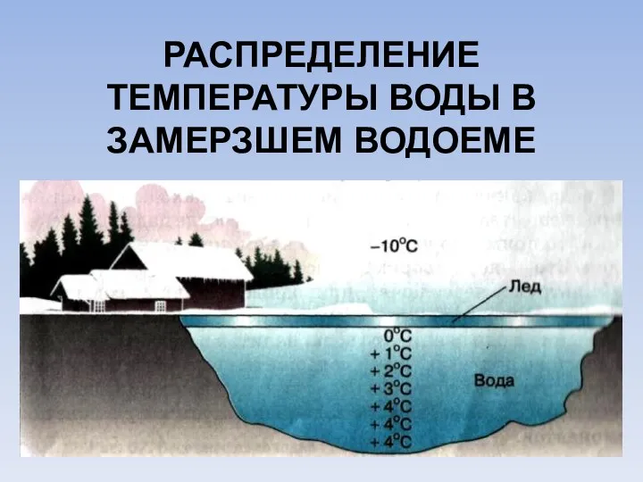 РАСПРЕДЕЛЕНИЕ ТЕМПЕРАТУРЫ ВОДЫ В ЗАМЕРЗШЕМ ВОДОЕМЕ