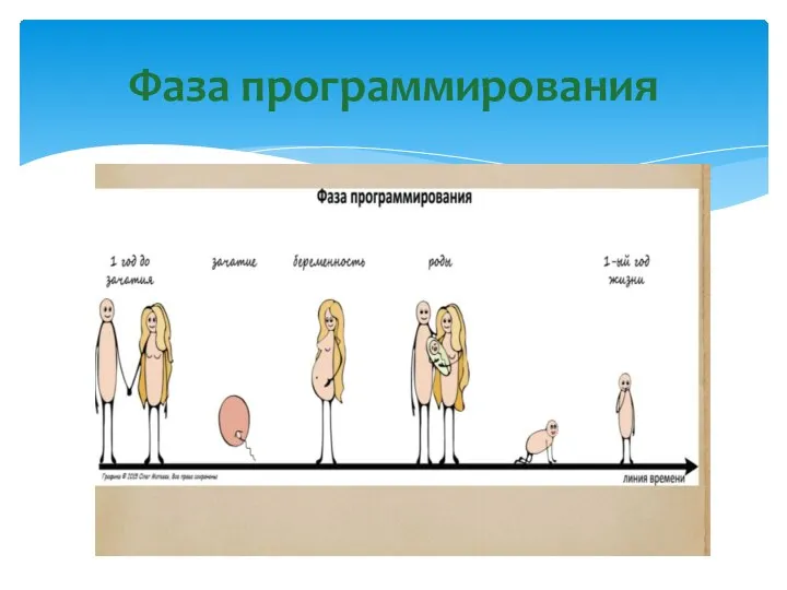 Фаза программирования