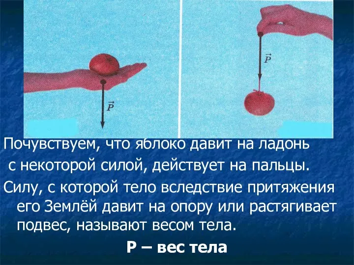 Почувствуем, что яблоко давит на ладонь с некоторой силой, действует на пальцы.