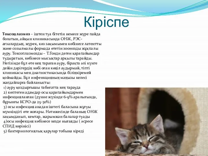 Кіріспе Токсоплазмоз – іштен туа бітетін немесе жүре пайда болатын, айқын клиникасында