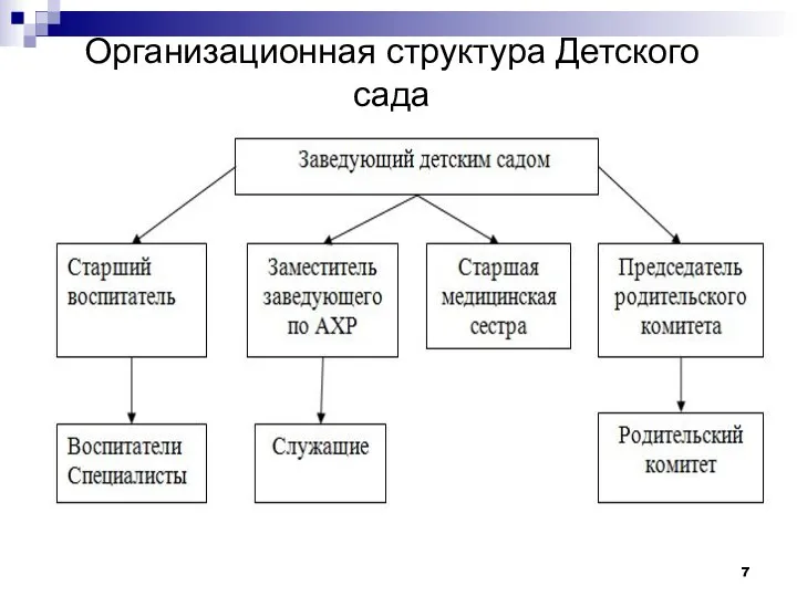 Организационная структура Детского сада