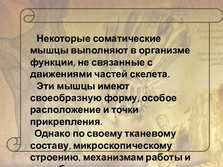 Некоторые соматические мышцы выполняют в организме функции, не связанные с движениями частей