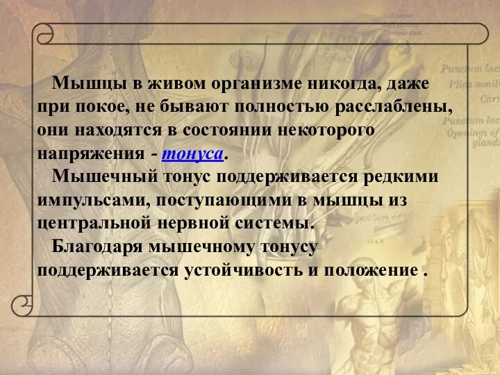 Мышцы в живом организме никогда, даже при покое, не бывают полностью расслаблены,