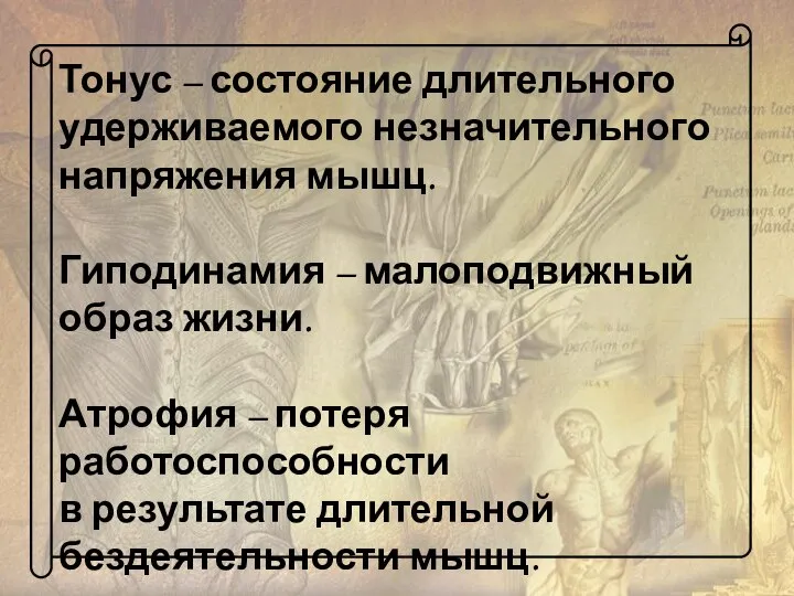 Тонус – состояние длительного удерживаемого незначительного напряжения мышц. Гиподинамия – малоподвижный образ