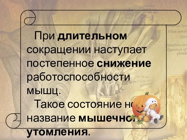 При длительном сокращении наступает постепенное снижение работоспособности мышц. Такое состояние носит название мышечного утомления.