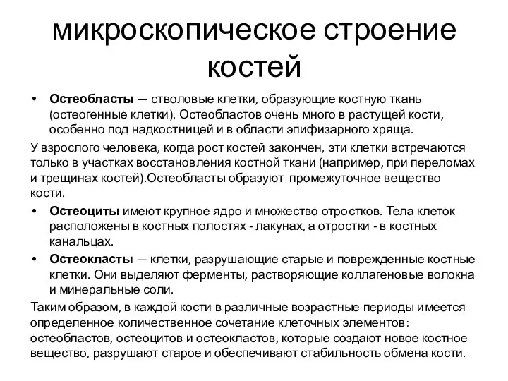 микроскопическое строение костей Остеобласты — стволовые клетки, образующие костную ткань (остеогенные клетки).