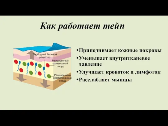 Как работает тейп Приподнимает кожные покровы Уменьшает внутритканевое давление Улучшает кровоток и лимфоток Расслабляет мышцы