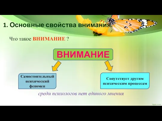 1. Основные свойства внимания. Что такое ВНИМАНИЕ ? среди психологов нет единого