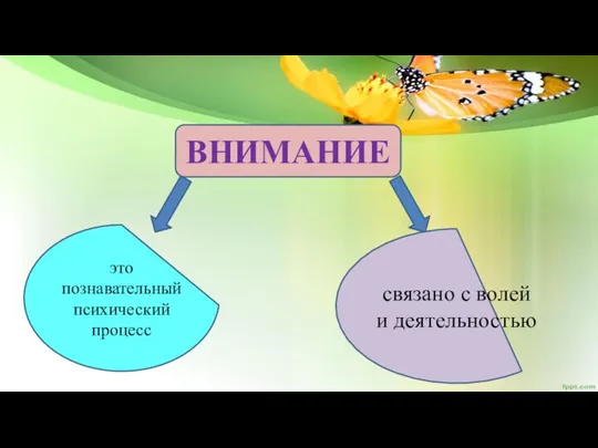 ВНИМАНИЕ это познавательный психический процесс связано с волей и деятельностью