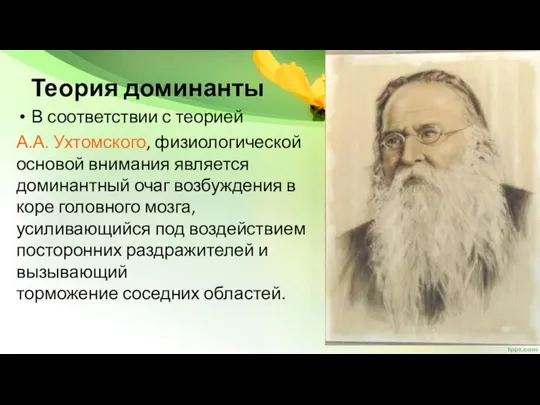 Теория доминанты В соответствии с теорией А.А. Ухтомского, физиологической основой внимания является