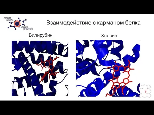 Взаимодействие с карманом белка Хлорина Хлорин Билирубин 9