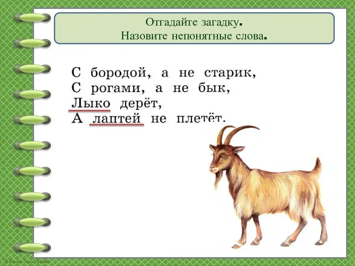 Отгадайте загадку. Назовите непонятные слова.