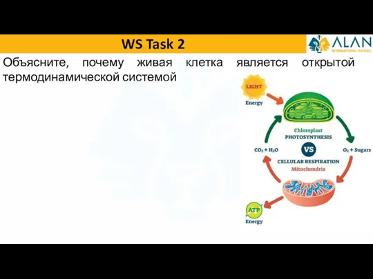 WS Task 2 Объясните, почему живая клетка является открытой термодинамической системой