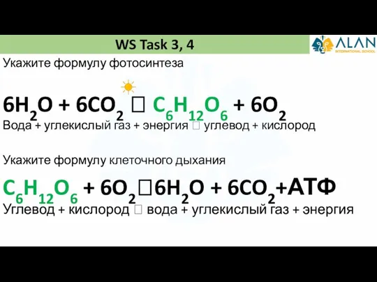 WS Task 3, 4 Укажите формулу фотосинтеза Укажите формулу клеточного дыхания 6H2O