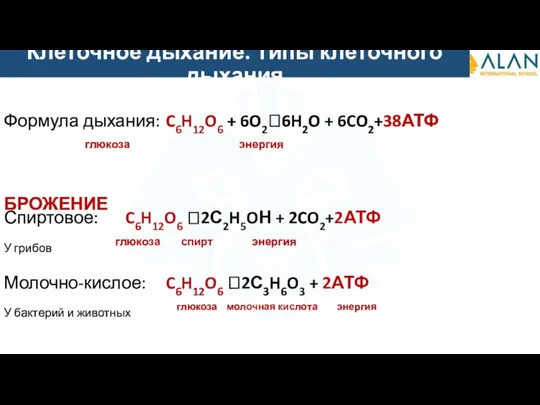 Клеточное дыхание. Типы клеточного дыхания Формула дыхания: C6H12O6 + 6O2?6H2O + 6CO2+38АТФ