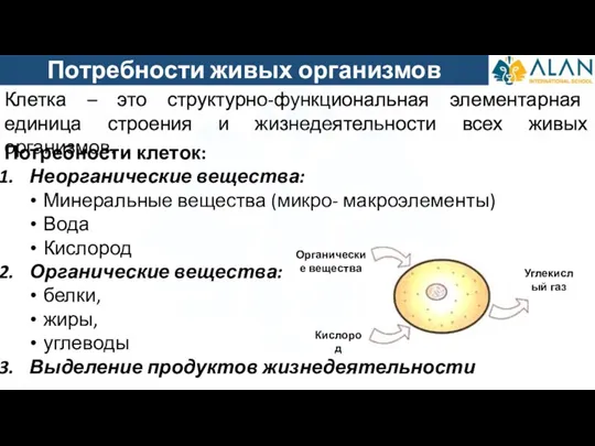 Потребности живых организмов Потребности клеток: Неорганические вещества: Минеральные вещества (микро- макроэлементы) Вода