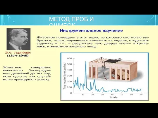 МЕТОД ПРОБ И ОШИБОК