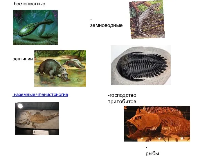 -бесчелюстные рептилии -наземные членистоногие -земноводные -господство трилобитов -рыбы