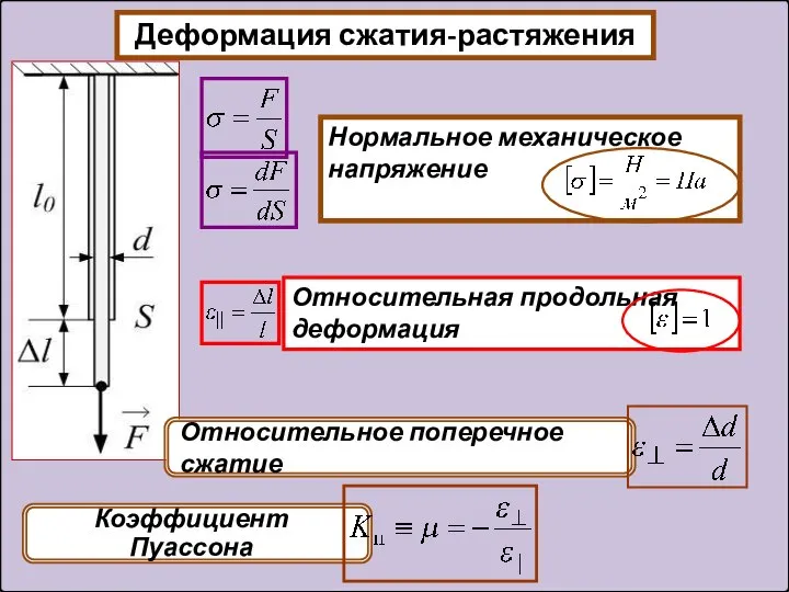 Деформация сжатия-растяжения Нормальное механическое напряжение Относительная продольная деформация