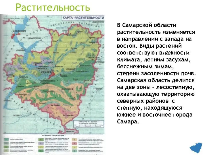 Растительность В Самарской области растительность изменяется в направлении с запада на восток.